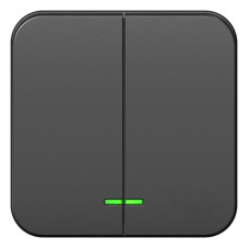 Выключатель 2-кл. ОП Blanca 10А IP20 (сх. 5) 250В с подсветкой с изолир. пластиной антрацит SE BLNVA105116