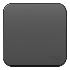 Выключатель 1-кл. ОП Blanca 10А IP20 (сх. 1) 250В с изолир. пластиной антрацит SE BLNVA101016