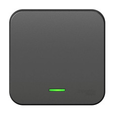 Выключатель 1-кл. ОП Blanca 10А IP20 (сх. 1) 250В с подсветкой с изолир. пластиной антрацит SE BLNVA101116