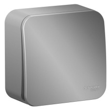 Выключатель 1-кл. ОП Blanca 10А IP20 (сх. 1) с самовозвратом с изолир. пластиной алюм. SE BLNCA101013