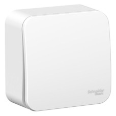 Выключатель 1-кл. ОП Blanca 6А IP20 (сх. 1) 250В с металлич. пластиной бел. SE BLNVA061021
